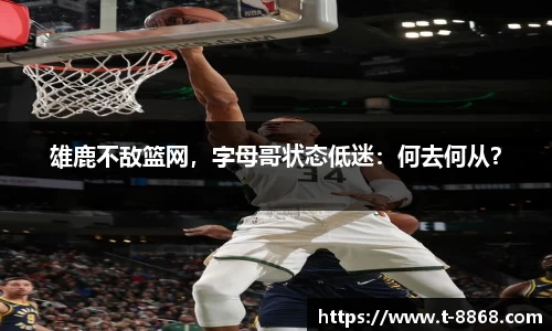 8868体育网页版在线