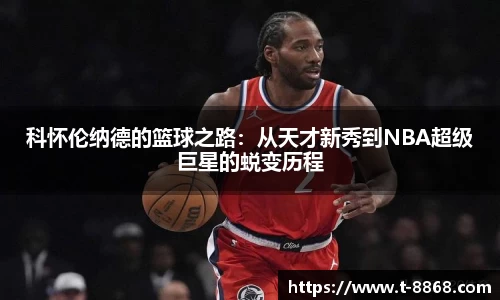 8868体育网页版APP